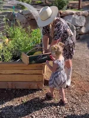 Enjoying every moment these days! ❤️Sharing my favorite items we use a ton with foods right from our garden! 🥒🥕 Added plus that my girls enjoy making dinner with me!  #dinnertimewithfamily #fundinnerideas #kitchenitems #healthyfoods