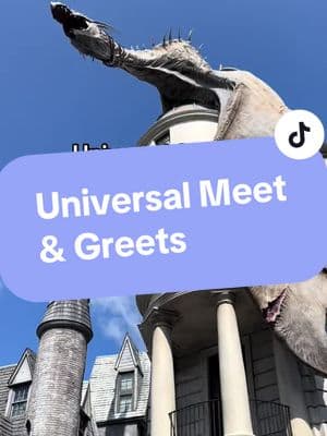 Universal Meet and Greets #universalstudios #universalstudios2024 #universaltravelagent #universalvacationplanner #universaltravelplanner #unitok #firstuniversaltrip #universaltipsandtricks #universalparkstips #firstuniversalexperience #firstuniversalcountdown #wizardingworldofharrypotter #universalharrypotter #harrypotterworld  #universalcouples 