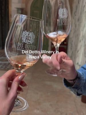 Napa winery tour no. 1 - Del Dotto! #napavalley #napawinery #winerytrip #anniversarytrip #napaitinerary 