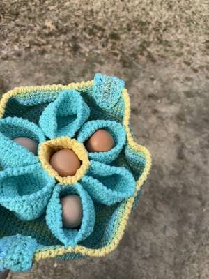 She is a sweet lady!! Message her for one! @Allison S #handmade #eggbasket #creative #chickens #foryoupageofficiall #croche #beautiful 