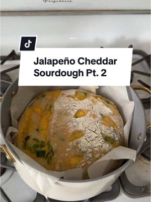 idk about this one guys #sourdough #jalapenocheddarsourdough 