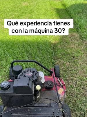 #yarderosperrones💪🏼🇲🇽 #tip #tips #yarderos #greengrass #lawncare #lawnservice #exmark #stihl #echo 