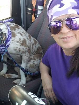 Beautiful day for the top to be flipped back & windows down, just me & my jeep dog. Yes I've got hands free camera equipment, my hands are on the steering wheel & I'm focused on the road💜🍇🥜✌🏻 #foryou #foryoupage #fy #fyp #cameraequipment #safetyfirst #jeepride #jeepdog #topflippedback #windowsdown #jeepvibes #jeeplove #jeepfreak #jeepwave #jeepeverything #jeepjeepjeep #justmeandmyjeep #itsajeepthing #jeeplife #jeepwrangler #jeeptj #grapenutt #liftedjeep #beepbeeppurplejeep #jeepgal #purplejeepgal #jeepgirlsdoitbetter #jeepsoftiktok #jeeptok #jeeptiktok #tiktokcreator 