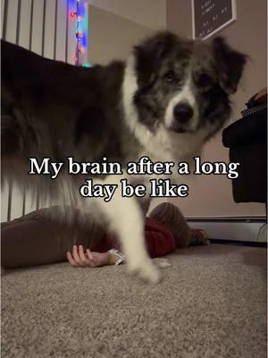 Ft the dog I guess 😂😂😂 Honestly, floor time is IT for me. Come home, collapse on floor for approx 20 minutes = happy brain #tired #brain #bandteacher #banddirector #teachertired #floortime #relaxing #dogsoftiktok #MentalHealth #relatable #calming #dogmama #teacher #teachertok 