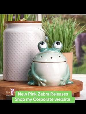 New releases! Shops my Corporate Website! Link in bio to order! #pinkzebra #pinkzebraconsultant #liveblending #pinkzebrahomefragrance #homedecor #pinkzebrasprinkles #pinkzebraindependentconsultant #simmeringwarmers #simmeringlights #waxsprinkles #diffusers 