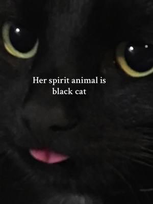 What’s your spirit animal?🖤 Shop link in bio #sugarandvapor #foryou #fyp #myspiritanimal #blackcat #darkaesthetic 