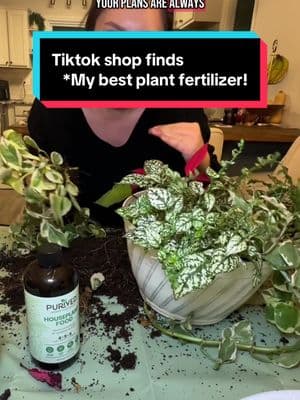 The Purived houseplant food saved my struggling fiddle leaf fig! The only reason I feel confident owning more houseplants ! 🤣 #houseplants #plantcare #plantfertilizer #purived #purivedhouseplantfood #plantmom #indoorplants 