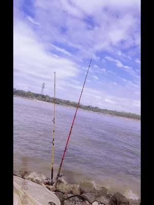 #fishing #fish #ohioriver #catfish #viralvideo 