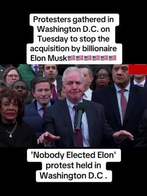 'Nobody Elected Elon' protest held in Washington D.C#news #washington #foryou #breakingnews #dc #parati #washingtondc #read #noticias #viralvideo #elonmusk  #donaldtrump   