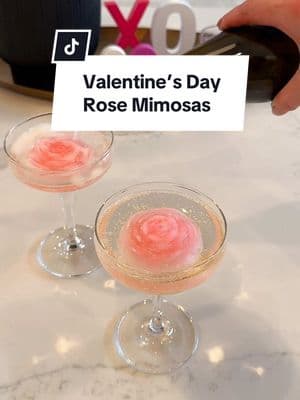 SAVE THIS Rose Mimosa idea for Valentine’s Day! 🌹🥂 My rose ice molds and edible drink glitter are available on my Amazon in my profile!  #cocktailrecipes #mimosas #valentinesdaydiy #galentinesday #galentinesdayparty 