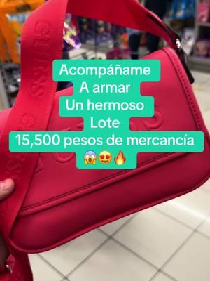 Lote de 15,500 pesos #lote #emprende #emprendimiento #tiendas #shopping #compra #negocio #envi 