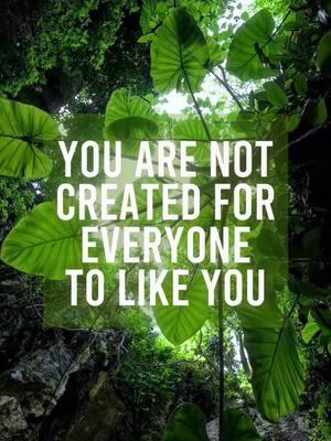 You are not created for everyone to like you, just be yourself and the right ones will. #audiblequotes #quotes #quotesoftheday #quoteoftheday  #todaysquote #motivateyourself #motivationalquotes #motivational #inspirationalquotes #inspiration #lifechangingquotes #deepmeaningquotes #powerfulquotes #deepquotes #motivationalquotes #motivationalspeech #motivationforlife #motivationalwords #motivationvideos #motivation #relatablequotes #powerfulmotivationalquotes #dailymotivation #deepspeach #deepthoughtquotes #inspirationquotes #lifelessons #advice #mindset #mindsetshift #deepmeaningfulquotes #deepquotes #deepmessage #deepthoughts 