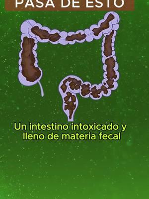 https://ifuxion.com/SaludG 🔥 3856229485🔥 1️⃣ Elimina toxinas acumuladas: Después de fiestas y celebraciones, tu cuerpo necesita un reseteo para funcionar a su máximo potencial. 2️⃣ Renueva tu energía y metabolismo: Nada mejor que empezar el año con un cuerpo más ligero, desinflamado y lleno de vitalidad. Y para que no tengas excusas, hoy te traigo esta súper PROMO: 🎉 Incluye GRATIS: 🚚 Delivery 26 paises  de regalo 👉 Escríbeme ahora y reserva tu pack antes de que se acaben. 💪  https://ifuxion.com/SaludG #bebidasorganicas #adiosgastritis💚💯 #bebidasorganicas #hemodialisis #colitisawareness #gastricsleeve 