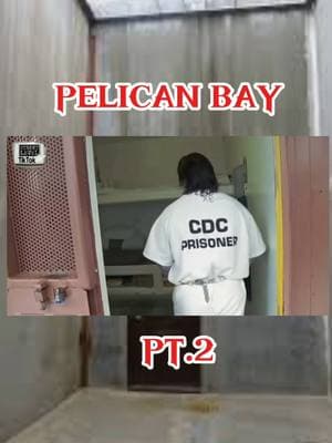 PELICAN BAY PT. 2 #inmate #pelicanbay #correctionalofficer #california #california #prisontiktok #prison #fyp #foryou #work #usa🇺🇸 #vacation 