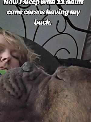 #creatorsearchinsights #sadhumming #howifeel Quality is never an accident, go hard or go home!! #corsiamore #corsiamorekennels #canecorso #italianmastiff  #puppiesmakeeverythingbetter #puppiesmakemehappy #406 #406montana #406dreamin #406living #breedercloudpro #bcp #badassbreeder #badassbreedercurriculum #puppyculture #puppyculturebreeder #goodbreeder #gooddog #mawoopets #gooddog #CCAA #AKC #UKC #ICCF #iccf #puppiesmakemehappy #canecorso #italianmastiff I do not own rights to this music/song. 