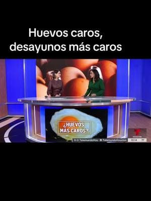 El alza de precios en los #huevos orilló a que @Waffle House comenzara a cobrar $.50 centavos por cada huevo de consumo en sus restaurantes en todo el país. La idea aunque dijeron esperan que sea temporal; preocupa a otros restaurantes que aún no deciden si incrementar los precios por la misma alza en precios. Más @telemundohouston #canasta #basica #eggs #shortage #birdflu #danger #crisis #health #restaurants #taqueria #precios #customers #people #money #stores #service #kitchen #table #inflation #sales #taqueria #houston #texas #usa 