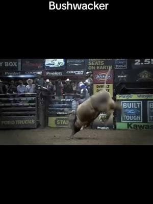 JB Mauney talks about his match ups against one of the greatest PBR bulls of all time "Bushwacker" #jbmauney #bushwacker #pbr #champion #worldchampion #halloffame #cowboy #bullrider #buckingbulls #rodeo #prorodeo #goat #foryoupage #foryou #fypage 