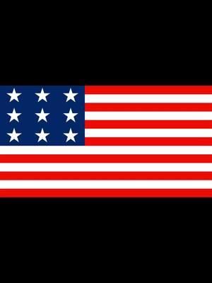 They changed the American Flag! Back to the 9 stars it’s only the beginning                                            ⭐️ ⭐️⭐️⭐️⭐️⭐️⭐️⭐️⭐️ #bestoneyet #trending #foryoupage #onthisday #CapCut #fypppppppppppppp #squidgame2 #fypシ #aifilter #massfollowing #viralvideos #ti #fl #florida 