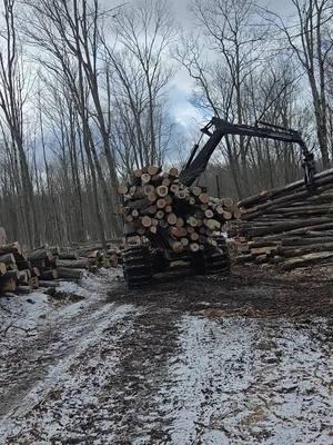 #logging #loggingislife #boss #bossstuff #fyp #830ctimberpro 