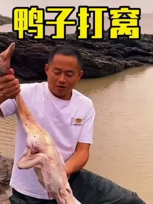 🤣🤣🤣#octopus🐙 #🦀 #catch #video #🦞🦞🦞 #catchchobanioatmilk #foryou #fancer #dənizməhsulları🐟🐠🐙🦑🐚🦀🦐 #fyp #ray #catchfish #humortiktok #coast #catchmorefish #foryoupage #octopus #Fance 