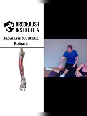 🔴 Fibularis Muscles Paroneals Static Release Video clip from the online course "Plantar Flexor: Release and Lengthening": The course counts for 1 credit towards the Brookbush Institute certifications and is pre-approved continuing education. Watch the full video and take the course! Go to our profile 👉 @BrookbushInstitute Click on linkin.bio/brookbushinstitute Choose this image 🔵 Brookbush Institute offers: • Certified Personal Trainer (CPT) Certification • Human Movement Specialist (HMS) Certification • Integrated Manual Therapist (IMT) Certification • 180+ CEC-approved courses • Courses on desktop or mobile • 500+ videos & 500+ articles • New features and content added weekly! 🔴 Completing courses and certifications has never been easier, and the quality of courses has never been higher! #humanmovementspecialist #effectivetreatment #athletictrainer #correctiveexercisecertification #fitnesscertification #correctiveexercisespecialist #correctiveexercise #rehab #physicaltherapy #physicaltherapist #humanmovementscience #sportsmedicine #sportsperformance #posturecorrection #performancecoach