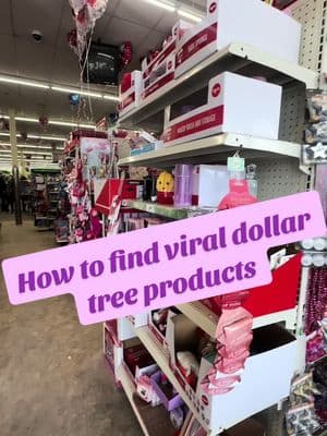 #dollartree #dollartreefinds #dollartreebeauty #howtofindviralproducts #shopping #shopwithme #makeupfinds #lipgloss #virallipgloss 