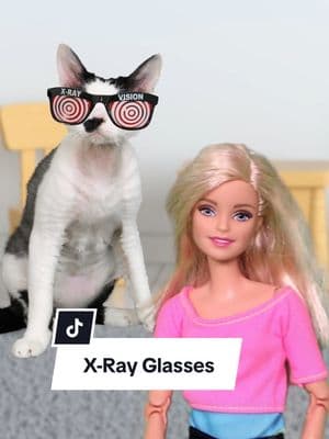 Roadie tries out a pair of x-ray glasses he got from the back of a comic book... what could go wrong?? #CatStories #FunnyCats #DevonRex #Barbie #XRayGlasses 