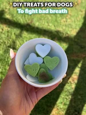 Say goodbye to stinky doggie breath with a DIY dental care boost! 🐾  Mix our Dental Powder into homemade treats for fresh breath and a happy pup. Easy, effective, and tasty! 🦷  ✨ Fresh mint leaves (not Pennyroyal)  ✨ Fresh curly parsley leaves (not flat-leaf parsley)  ✨ Plain Greek yogurt  ✨ Coconut oil  ✨ Water  #pethonesty #diydogtreats #pethealth #dogmom #dogdentalcare #doggiebreath