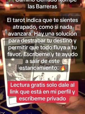 #consultasgratis #consultasdetarot #parati #lecturadecartas #lecturasgratis #viral #viraltiktok #parati #parati #fyp #amor #estadosunidos #peruanos #traision #peru #elsal vador #florida #miami #nuevayork #mexico