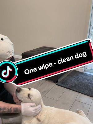 #WeLovePets #PetCare #PetWipes #GloveWipes #CleanPaws #HappyPets #DogLovers #CatLovers #PetGrooming #PetHealth #EcoFriendlyPets #GentleCleaning #FreshPaws #SafeForPets #PetParentLife #FurBabyCare #QuickClean #MessFreePets #PetWellness #AllNaturalWipes #OdorFree #PawProtection #PetFriendlyLiving #ConvenientPetCare #OnTheGoCleaning #HypoallergenicWipes #NonToxicPets #EasyPetCare #PetHygiene #SoftAndStrong #VetApproved