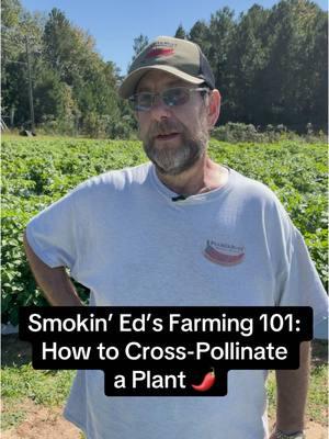 How to cross-pollinate a plant with Smokin’ Ed Currie at his TOP SECRET field 😶‍🌫️ Comment if you want to see more pepper farming content! 🌶️🧪  #pepperfarming #crosspollination #farmingtips #farmtok #farmlife #farming101 #hotpeppers #smokined 