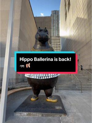 Hippo Ballerina is an iconic 2.5 ton bronze sculpture by Bjørn Okholm Skaarup who has appeared around NYC over the years at various locations and has just returned to the Upper West Side for the first time since 2017. 🦛🩰 She can now be found at @Fordham University’s Lincoln Center campus as part of the partnership with Cavalier Galleries. She’s joining “The Magis Sculpture” exhibition that includes 11 wonderful sculptures. 📍 Fordham University - Lincoln Center ⏰ Exhibit Open Monday - Friday  7am - 9pm Saturday - Sunday 9am - 9pm (Hippo Ballerina is located by the 62nd Street staircase) #hippoballerina #hippoballerinanyc #magissculpture #fordhamuniversitylincolncenter #nycart #publicart #hipposculpture #hippo #nychiddengems #nycinstallation #upperwestsidenyc #nycadventures 