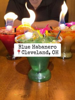 Blue Habanero is one of our favorite Mexican Restaurants in the Cleveland area. Located in Gordon Square, just west of Downtown Cleveland, this spot has a huge food menu, hand crafted (flaming🔥) margaritas, tequila flights, and a DAILY HAPPY HOUR (Yes! Even on the weekends!). This restaurant cannot be missed. #fyp #foryou #foryoupage #fypシ #FoodTok #foodietiktok #food #Foodie #foodreview #restaurant #cleveland #cle #clevelandblogger #foodblogger #clefood #RestaurantReview #clevelandfood #cleeats #216 #downtowncleveland #clefoodies #clefoodie #clevelandfoodie #clevelandfoodies #clevelandfoodscene #216eats #eatlocalcleveland #eatlocalohio #clevelandhappyhour #clevelandmexicanrestaurants #gordonsquareartdistrict #gordonsquare #clevelandwestside #bluehabanero #flamingcocktails #flamingmargarita 