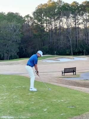 Day 15! 5 days away from 1 year of making content, all love to everyone who helped me get this far ❤️ #Golf #golfer #golfswing #birdie #golfchallenge #labgolf #rapsodo #stitchgolf #oneclubchallenge #golftiktok 