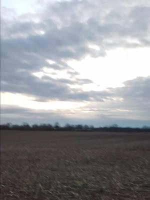 #gospel_tiktok #kid friendly#tiktokviral #fypシ゚viral🖤video #fypシ゚viral #cornfield #Ohio #God #beautiful #fyp #jesussaves #