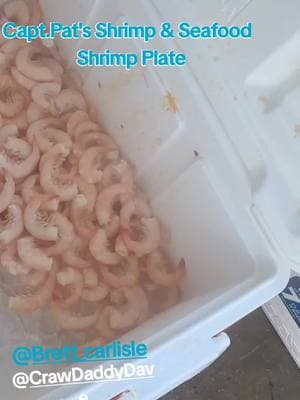 Alabama Gulf Shrimp Plate #seafoodlover #shrimplover #shrimpboil #gulfshrimp #alabamashrimp #alabamaseafood #seafood #cookingseafood #fishmonger #fishmarket #massfollowing #captpatsshrimpseafood #foryoupage #fypシ #fypage #fyppppppppppppppppppppppp #fyp #viraltiktok #v #viralvideo #brettcarlislemusic 