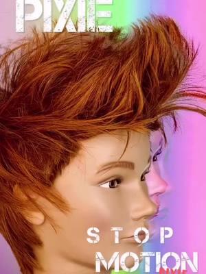 Watch this square pixie by Sam Villa ArTeam Member @Roger Molina come to life via his signature #stopmotion #tutorial. ⁠ ⁠ "TECHNICAL BREAKDOWN 🧰⁠ •⁠ SIDES⁠ Build a slight taper with #scissor over comb.(short at hairline build up in #length to parietal ridge and back of ear⁠ •⁠ BACK⁠ Taking rounded diagonal back lines, elevating horizontal and cut square(leave corner).⁠ •⁠ NAPE⁠ Using a #razor #haircut to head form leaving the length of your choice at nape.(long stroke removes most weight, shorter leaves more.⁠ •⁠ TOP⁠ Create a center guide using vertical section and vertical elevation. (Square) take vertical sections working from apex to front, overdirection to previous for slight wight gain. I had a short #fringe to start so you’ll have to cut more in refinement if you don’t.⁠ •⁠ CROWN⁠ Elevate vertically to meet the guide at apex and match square. Then drop to elevation in nape are(45 degrees) and match square there too.⁠ Left the corner but you could take it off too. I wanted #drama .⁠ •⁠ COLOR.⁠ Applied #coffee at the roots and #copper to the ends. While elevated. (Diffused weight lines.)⁠ •⁠ Tool/product mentions⁠ @samvillahair sleekr flat iron, pro ionic blow dryer, reversible blending shear, razor.⁠ @Pivot Point snap cap #mannequin with Erica cap. Swivel lock tripod." - @rogermolinahair⁠ ⁠ video via: @rogermolinahair @Hairbrained  ⁠ 