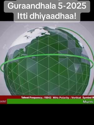 #oromotiktok❤️💚❤️ #oromotiktok #oromoo #oromo #for #fouryou #world #ethiopian_tik_tok 