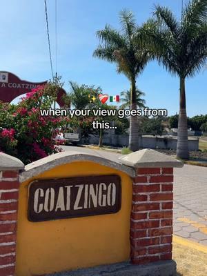 I’m mentally still here 🥹💔 #fyp #mexico #coatzingo #mexicantiktok #views 