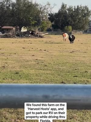 Our next Harvest Host stay is at a golf course! 😍 #harvesthosts #rvlife #travel #rvliving #farm #cows #farmlife #florida #beefarm #fyp #foryou 