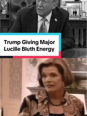 Donald Trump 🤝 Lucille Bluth #arresteddevelopment #trump #lucillebluth #travel #traveltok #prices #economy #fyp #news #politics #political #politicalnews #politicaltiktok 