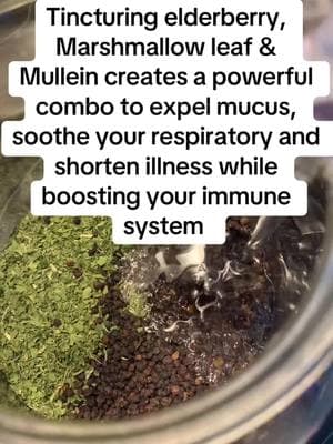 Fun facts. I create the elderberry cold and flu boost every year #immuneboost #immunesystem #illness #mucus #mucusremoval 