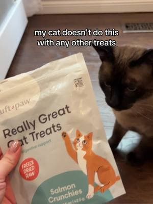 Is anyone else's cat able to open their treats, grab one, and sneak away, or is it just me? These salmon treats seem to have a magnetic effect on my cat, who can't resist their, fishy aroma. #bestcattreats #salmoncattreats #bestcatproducts #tuftandpaw #bestcatfood 