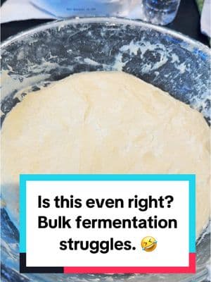 Attention: sourdough people. Is this even right? #sourdough #sourdoughrecipe #bulkfermentation 