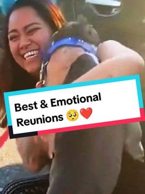 Only a dogs can love you wholeheartedly ❤️ #dog #dogsoftiktok #dogs #doglover #doggo #reunion #reunited #wholesome #heartwarming #tearsofjoy #fyp 