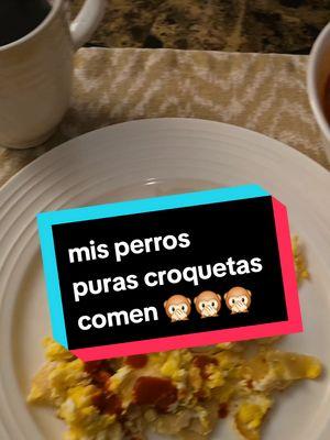 ahora digo: huevo con tortilla, comida para mi perra... mis perra hambre hahah #estilodevida #noestanparasaberlo #tiktok #california #fyp #parati #desyuno #comidadeperro 