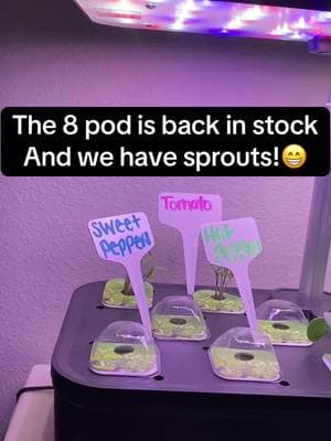 This after only a few days is crazy! #hydroponics #hydroponic #gardeningtiktok #hydroponicsystem #plants #indoorgarden #ttsdelightnow #giftguide #seasonalgems #lovelanguage 