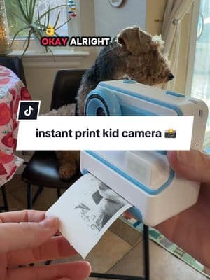 #kidsoftiktok #kidgift #honestreview #ValentinesDay #easter #camera #kidscamera #printcamera #toddlersoftiktok #toddler #giftideas 