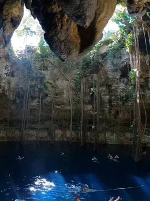 #mexico #tulum #cenotes #divetrip #divetravel #onthisday  