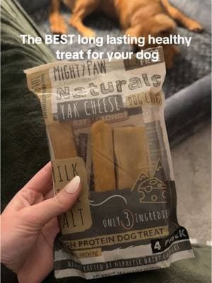 HIGHLY recommend these. This is not sponsored. We genuinely just love how long these last and how Murphy enjoys a healthy and long lasting treat! I’ve been on the search for a while now to find a healthy form of treat that doesn’t disappear in .2 seconds. These are so perfect. ALSO Kicking myself because I ordered them on Amazon for $27 when they are literally only $16 on here 🫠 probably going to stock up since they are running a valentines week sale rn haha!! #goldenretriever #golden #puppy #dogsoftiktok #goldenpuppy #murphthegolden #puppytok #goldenretrieverpuppy #dogtokers #dogtok 